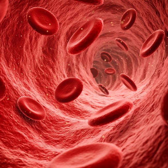 graphic of blood cells