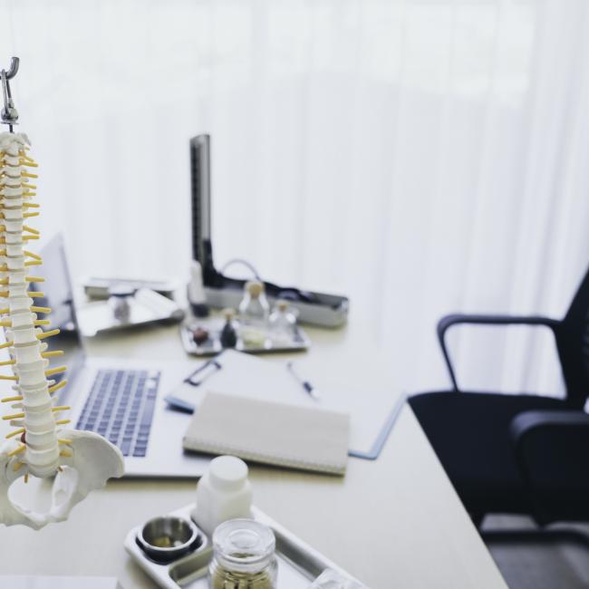 spinal column and hip model on doctor desk